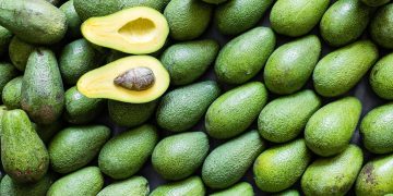 Fortalecen México y Japón confianza en exportación de cárnicos y aguacate