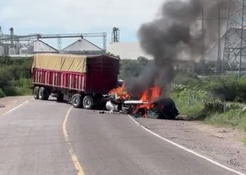 Suman 30 detenidos tras desmantelamiento de campamento criminal y jornada de violencia en Aguascalientes