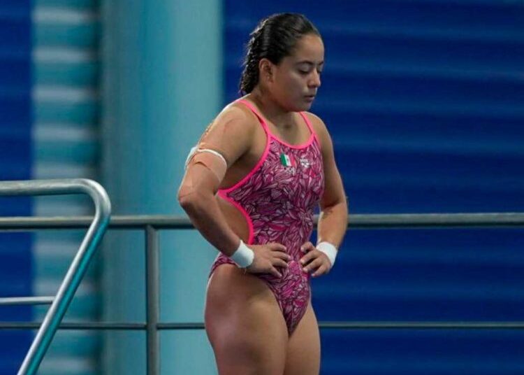 alejandra