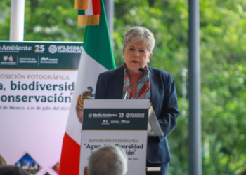Al menos 200 millones de dólares se requieren para la conservación del territorio nacional