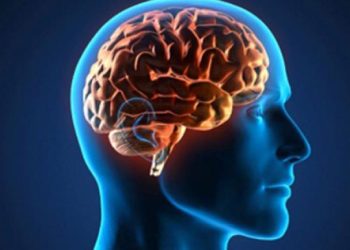 Los cerebros envejecieron más rápido en pandemia, incluso en las personas no infectadas