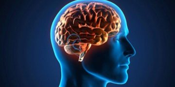 Los cerebros envejecieron más rápido en pandemia, incluso en las personas no infectadas