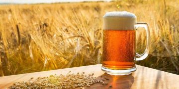 Productores de cebada y malta denuncian incumplimiento en compra de insumos por parte de cervecera