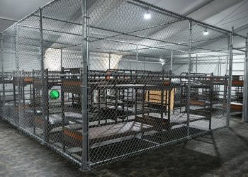 “Detectamos abusos de derechos humanos a migrantes en centros de detención en Florida”: HRW