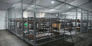 “Detectamos abusos de derechos humanos a migrantes en centros de detención en Florida”: HRW