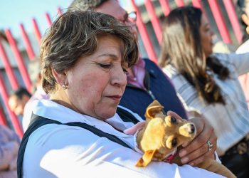 Edomex presenta estrategia para atender sobrepoblación de animales callejeros