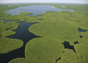 La COP15 destaca el papel de los humedales en la sostenibilidad del planeta