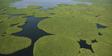 La COP15 destaca el papel de los humedales en la sostenibilidad del planeta