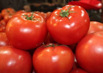 Gobierno federal muestra desacuerdo por arancel al jitomate
