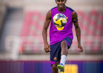 lamine