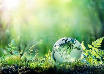 Expertos defienden el derecho humano a un medioambiente limpio y sostenible