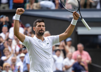 novak
