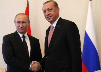 Putin y Erdogan llaman a estabilizar cuanto antes la situación en Siria