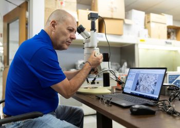 Semillas viajarán al espacio para estudiar su resistencia al cambio climático