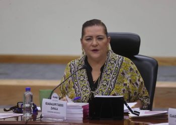 Guadalupe Taddei reconoce que INE será la burla por pequeñas multas por acordeones