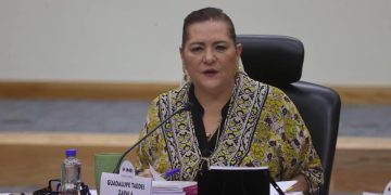 Guadalupe Taddei reconoce que INE será la burla por pequeñas multas por acordeones