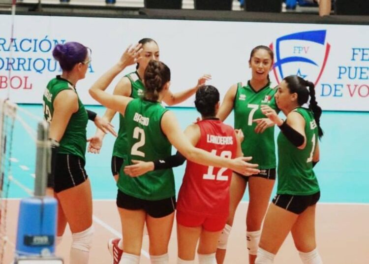 voleibol
