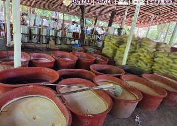 Decomisan casi cinco toneladas de droga en Chiapas, Tijuana y Guerrero