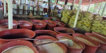 Decomisan casi cinco toneladas de droga en Chiapas, Tijuana y Guerrero