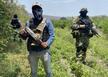 ¿Qué implicaciones tendría que militares de EU ataquen a carteles mexicanos? Un especialista nos explica