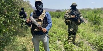 ¿Qué implicaciones tendría que militares de EU ataquen a carteles mexicanos? Un especialista nos explica