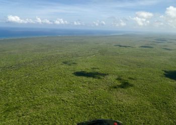 Desarrolladores inmobiliarios venden lotes en la selva de Quintana Roo