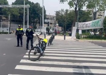 “Nos están trayendo el problema cannábico, hay escuelas y limitan el libre tránsito”: Vecina