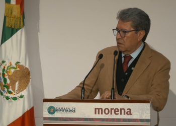 Morena prepara reuniones en todo el país y plenaria para agenda legislativa