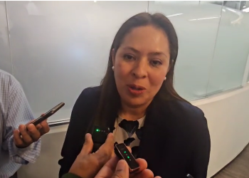 PVEM no dará cheque en blanco al gobierno con  Reforma Electoral