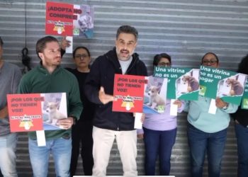 PVEM busca erradicar maltrato de animales en tiendas de mascotas