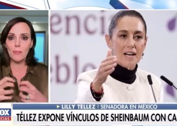 Pide el PT en la Comisión Permanente separación de Lilly Téllez como senadora por traición a la Patria