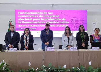 INE revisa con IDEA Internacional estrategias para reforzar la calidad de las elecciones