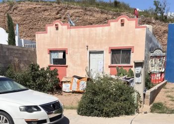 Encuentran presunto rastro clandestino de canes y rescatan 54 perros en Sonora