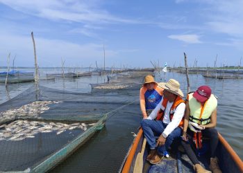 Mueren peces en Laguna de Tres Palos en Acapulco por altas temperaturas