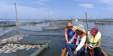 Mueren peces en Laguna de Tres Palos en Acapulco por altas temperaturas