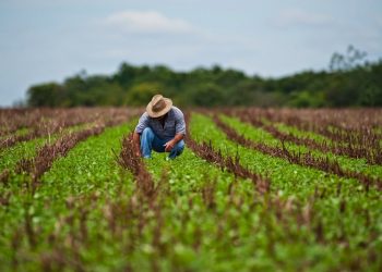 Agricultores mexicanos advierten una catástrofe alimentaria por aranceles de EU
