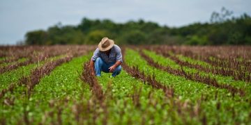 Agricultores mexicanos advierten una catástrofe alimentaria por aranceles de EU