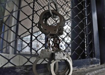 “Los perfiles de los criminales extraditados son interesantes, la mayoría están ligados al narcotráfico”: Especialista