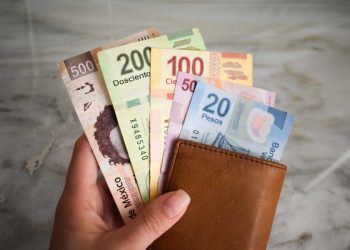 Alimentos, servicios, salud, y transporte los principales rubros a los que pensionados destinan sus recursos