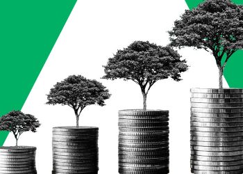 ¿Qué es el greenwashing?