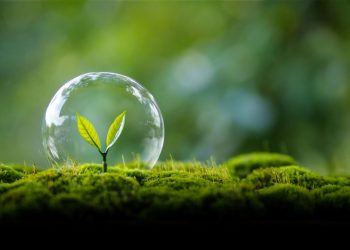 El otro trabajo de la industria con el medio ambiente