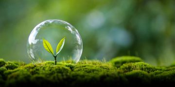 El otro trabajo de la industria con el medio ambiente
