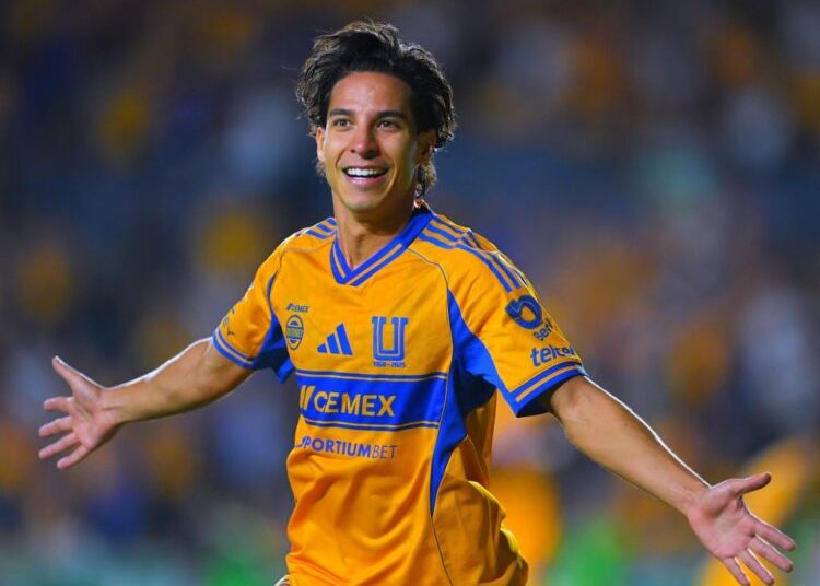 tigres