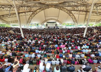 México anuncia inversión de 700 mdp para producción de carne en 3 estados