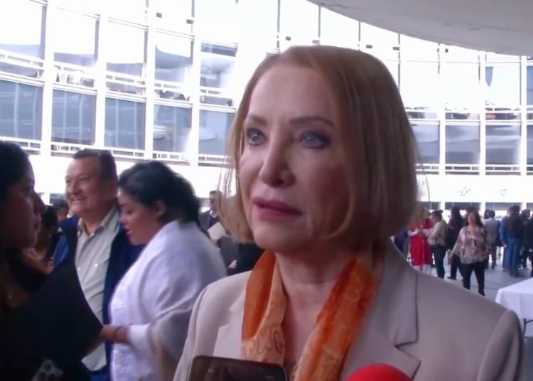 La presidenta del Senado, Laura Itzel Castillo, durante una declaración sobre temas de seguridad nacional