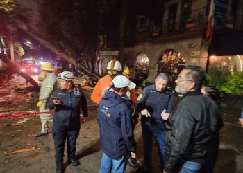 Siete árboles cayeron por fuertes lluvias en Coyoacán