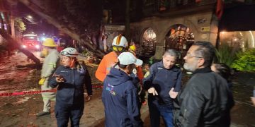 Siete árboles cayeron por fuertes lluvias en Coyoacán