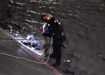 Salvan a dos perritos de morir ahogados durante tormenta