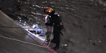 Salvan a dos perritos de morir ahogados durante tormenta
