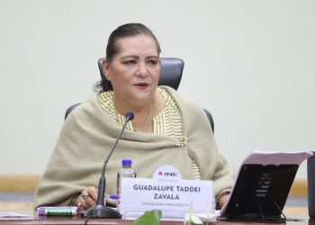 El INE recibió los informes finales de la Elección Judicial; Guadalupe Taddei